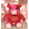 DolliBu I Love You Valentine Plush Pink Tie-Dye Pig -