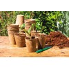 Romberg Classic Cultivation Pots Round Diameter 8 cm (Pack of