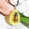 Handmade Glow Natural Bug Pendant Necklace Real Insect Resin Waterdrop