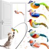 RattanView 5 Pcs Interactive Bird Simulation Toy for Cat with