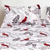 Virah Bella 4-Piece King-Size Printed Microfiber Bed Sheet Set -