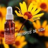 Heliopsis De Vida Extracto De Chilcuague 4 Piezas De 70