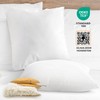 Cheer Collection Set of 2 Organic Kapok Pillows, Natural Kapok