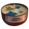 Fragrance candles (Midnight Pomegranate)
