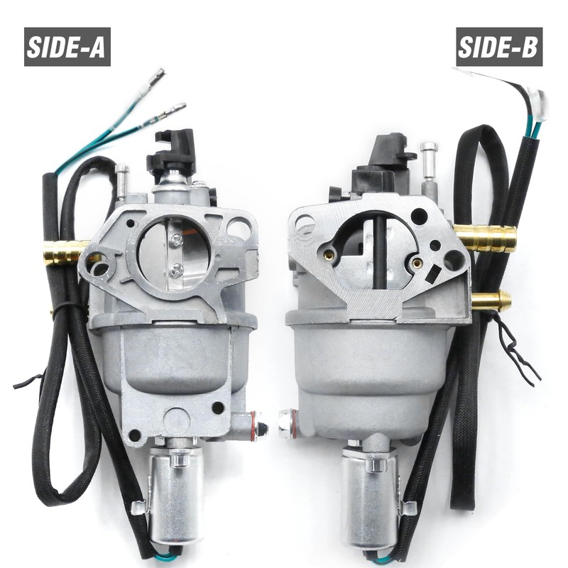 Anxingo P28-4-H Dual Fuel Carburetor 47.131000.28 Replacement for Champion 439cc