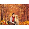 WR Autumn Maple Forest Backdrop Fall Harvest Maple Leaves Pumpkin