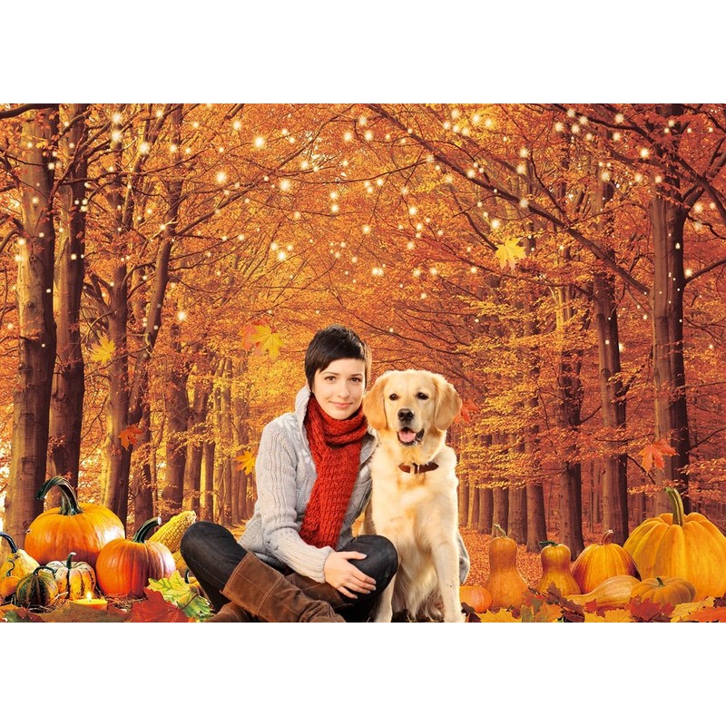 WR Autumn Maple Forest Backdrop Fall Harvest Maple Leaves Pumpkin