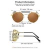 4 Pairs Steampunk Sunglasses Retro Gothic Sunglasses Unisex Vintage Sunglasses