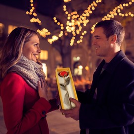 Yolife 24k Gold Dipped Real Rose Lasted Forever with Transparent Stand, Best for Her - for Valentine’s Day Mother’s Day Girlfriend Wife Birthday Wedding Flowers(Red)