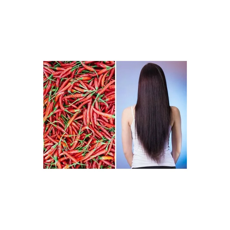 2 Shampoo Chile 530 Ml Sheló Crece Y Fortalece Cabello