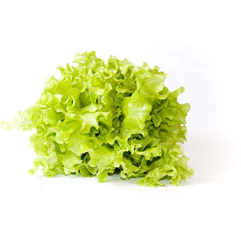 NIKA SEEDS - Seeds Vegetable Indoor Leaf Lettuce Four Seasons