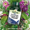 Natures Aid Glucosamine Sulphate 1500 mg, High Strength, Salt Free,