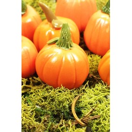 Fairy Garden Accessories, Terrarium Decor. Miniature Pumpkins. 9 Piece Set.