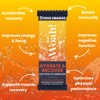 Woah! Electrolyte Powder Sachets. Hydration Sachets with Natural Flavourings –