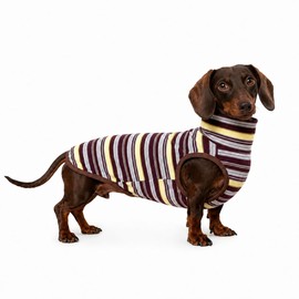 Whalemire Dachshund Dog Sleeveless Onesie, Cozy Turtleneck Stripped Shirt for Mini Dachshund Italian Greyhound Whippets (M (10-13 lbs))