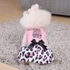 CuteBone Dog Mesh Dress Puppy Sundress Pet Outfit Summer Fashion