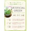 Kishima KH-60984 CT Catalyst Deodorizing Artificial Green Succulent Refellium