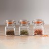 Kilner Square Clip Top Spice Jar, 70ml, Transparent 01651 (0025.460)