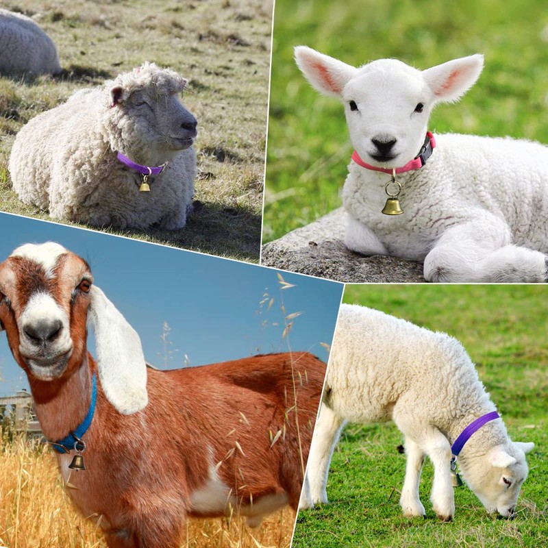 Goat Collars with Bells 10 Pack, Adjustable Sheep Goat Collar