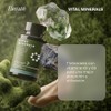 Vital Minerals Suplemento Multimineral Adultos Cápsulas Grandes 777 Zinc Calcio
