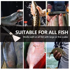 Fish Scaler, Fish Scaler Stainless Steel Remover, Fish Scaler, Professional Fish Scaler Scraper, Fish Scraper, Kitchen Aid 304 A