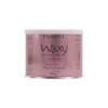 Passini Waxy Cera Depilatoria - 600 Gr