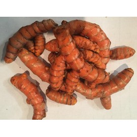 Fresh Organic Turmeric (1 Lb)