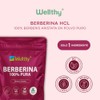 Wellthy Berberina Pura 90 Cápsulas. 100% Berberis Aristata, 500mg c/u,