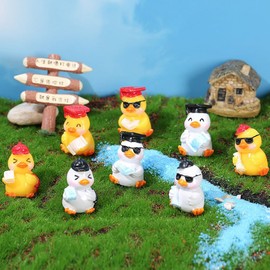 8 Pcs Mini Resin Doctor Duck RUIFUNETEK Cute Mini Duck with Hat, Tiny Figurines with Glass, Mini Resin Animal Duck for Aquarium, Micro Garden Landscape, Dollhouse Ornament and Potted Decorations