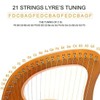 Ahvqevn 21 String Liar Harp Strings Small Harp String Accessories