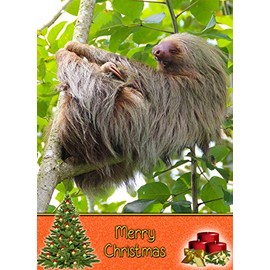 Sloth Christmas Card 'Merry Christmas' - Special Xmas Card for Him Her Kids Male Female