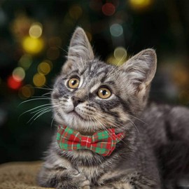 Joytale Upgraded Christmas Cat Collar with Bells, Breakaway Cat Collars with Bow Tie, 1 Pack Girl Boy Safety Plaid Kitten Collars, Red+Green Plaid