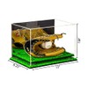 Better Display Cases Acrylic Baseball Glove Display Case with Mirror,