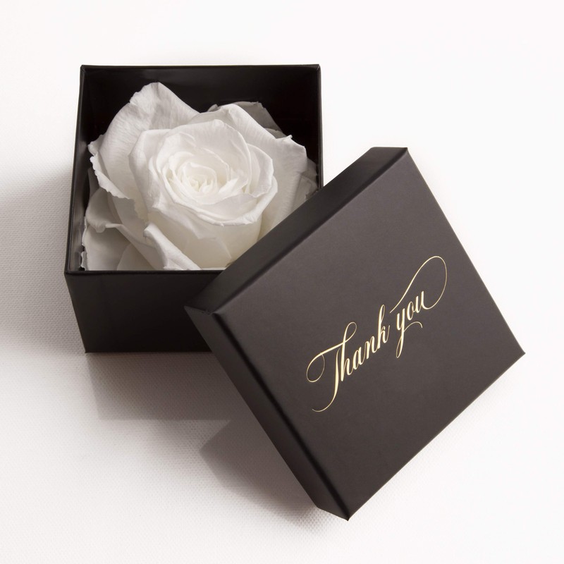 ROSEMARIE SCHULZ Heidelberg Eternal Rose for A Thank You Rose