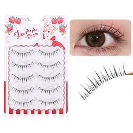 False Eyelashes, Natural, Transparent Axis, Handmade Popular, DIY at Home, Natural False Eyelashes, Thin Makeup, Lifestyle Makeup, Cosplay Makeup, False Eyelashes, 5 Pairs (Saki Hatsu Koufuji)