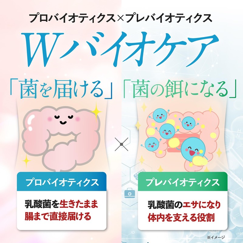 【生きた乳酸菌】10兆個 22種類 BIOLAC(30日分/30カプセル) ビフィズス菌 有胞子性 酪酸菌 フェカリス菌 イヌリン オリゴ糖 プロバイオティクス