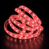 RGBW RGB+W 3000K LED Strip 4in1 Chip 500cm 5m ;