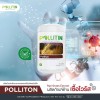 Pollitin 2 x Polliton Nutraceutical Dietary Supplement Graminex Rye Grass
