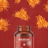 Cordyceps Militaris Extracto 500 Mg 60 Capsulas