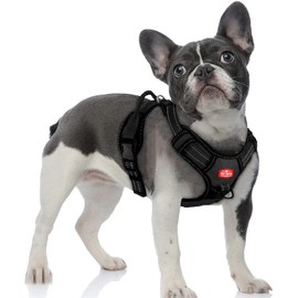 Updated For 2021 - Metro Escape Proof Dog Harness| No Pull Dog Harness | Front/Back Leash Attachments | Dog Harness With Handle | Adjustable Fit Dog Harness | Padded Training Dog Harness For Comfort