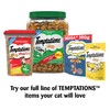 TEMPTATIONS MIXUPS Crunchy and Soft Cat Treats Catnip Fever Flavor,
