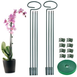 2 Set Metal Plant Sticks Support Tall 48 Inch Adjustable Plants Stem Support Rod Amaryllis Holder Stake Garden Flower Rings with 20PCS Clips 16.5' Plant Ties for Outdoor Indoor Plants