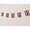 Pandiui23 Costa Rica Flag 40 Pack 35ft 5.5" x 8.25"