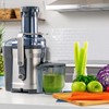 Oster Easy-to-Clean Professional Juicer, Stainless Steel Juice Extractor, Auto-Clean Technology,