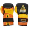 Ring to Cage Molded-Foam and Gel-Lined Training Boxing Gloves (14oz)
