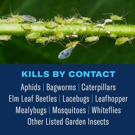 BioAdvanced Tree and Shrub Insect Killer, Concentrate, 32Oz