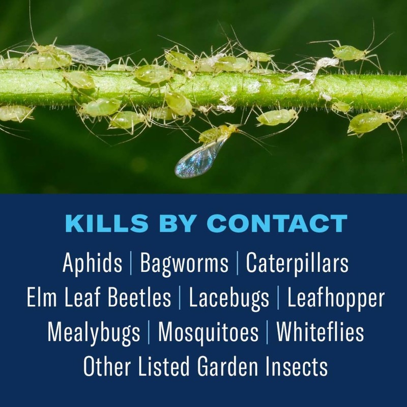 BioAdvanced Tree and Shrub Insect Killer, Concentrate, 32Oz