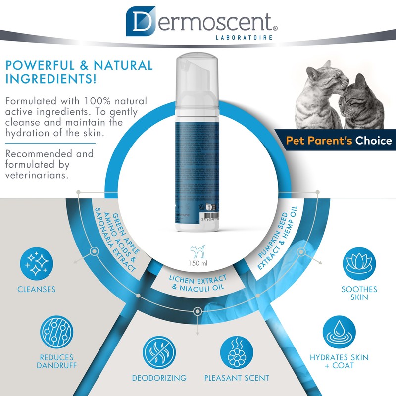 Dermoscent Essential Mousse - Dry Shampoo for Cats - Rinse