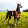Dog Vest Leash Reflective Adjustable Multifunctional Comfortable Medium to Large