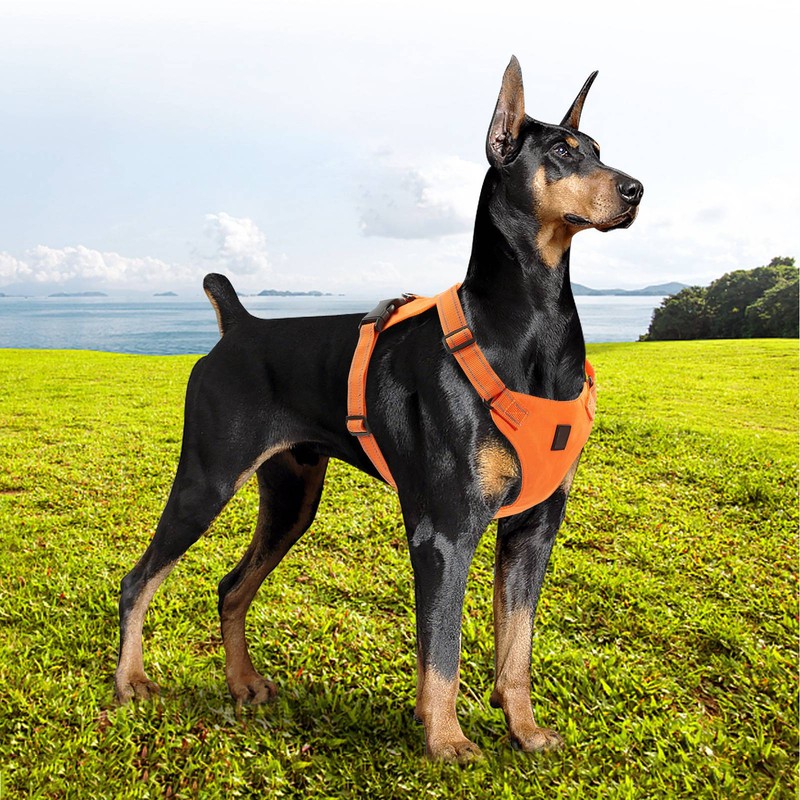 Dog Vest Leash Reflective Adjustable Multifunctional Comfortable Medium to Large